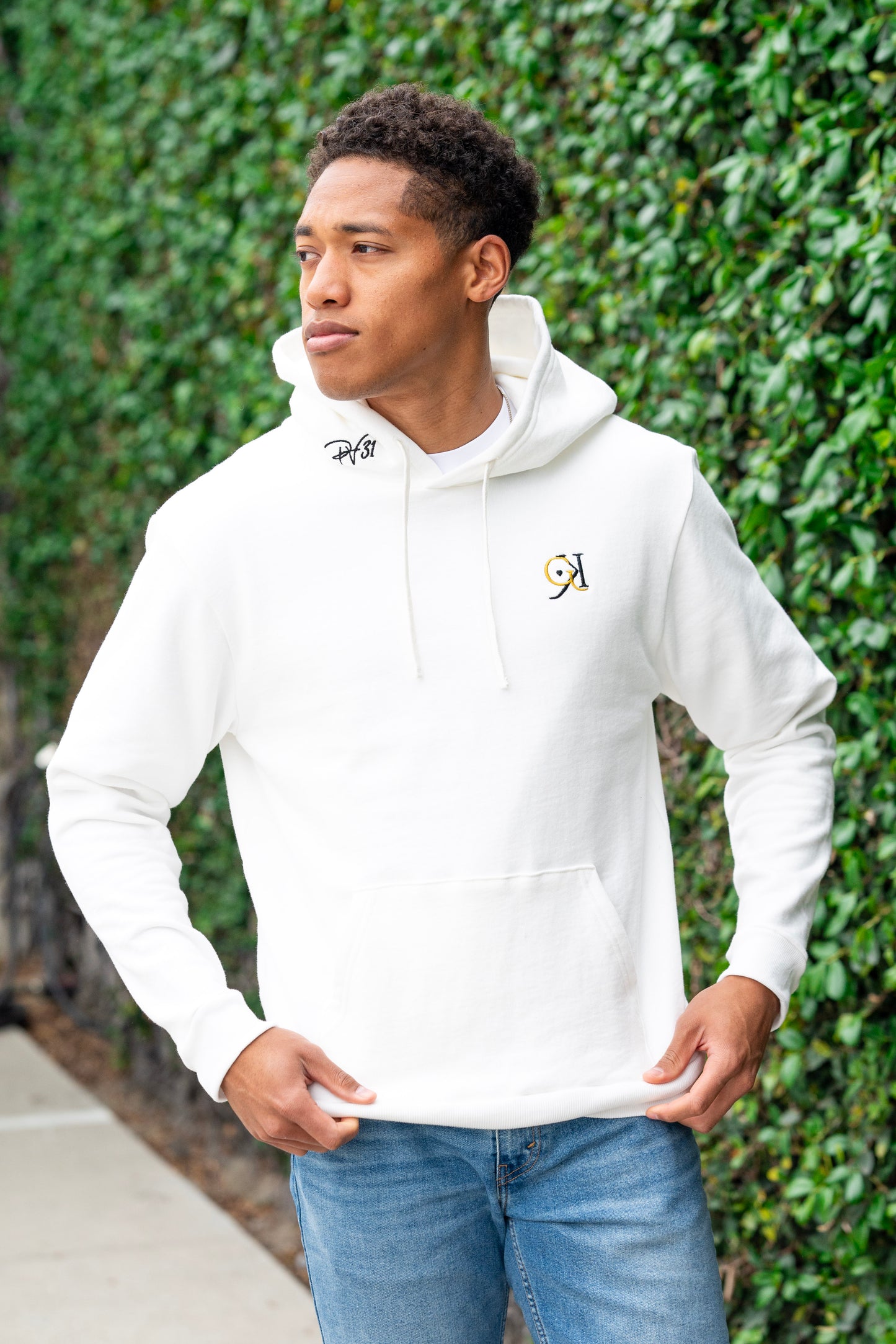 PV Hoodies