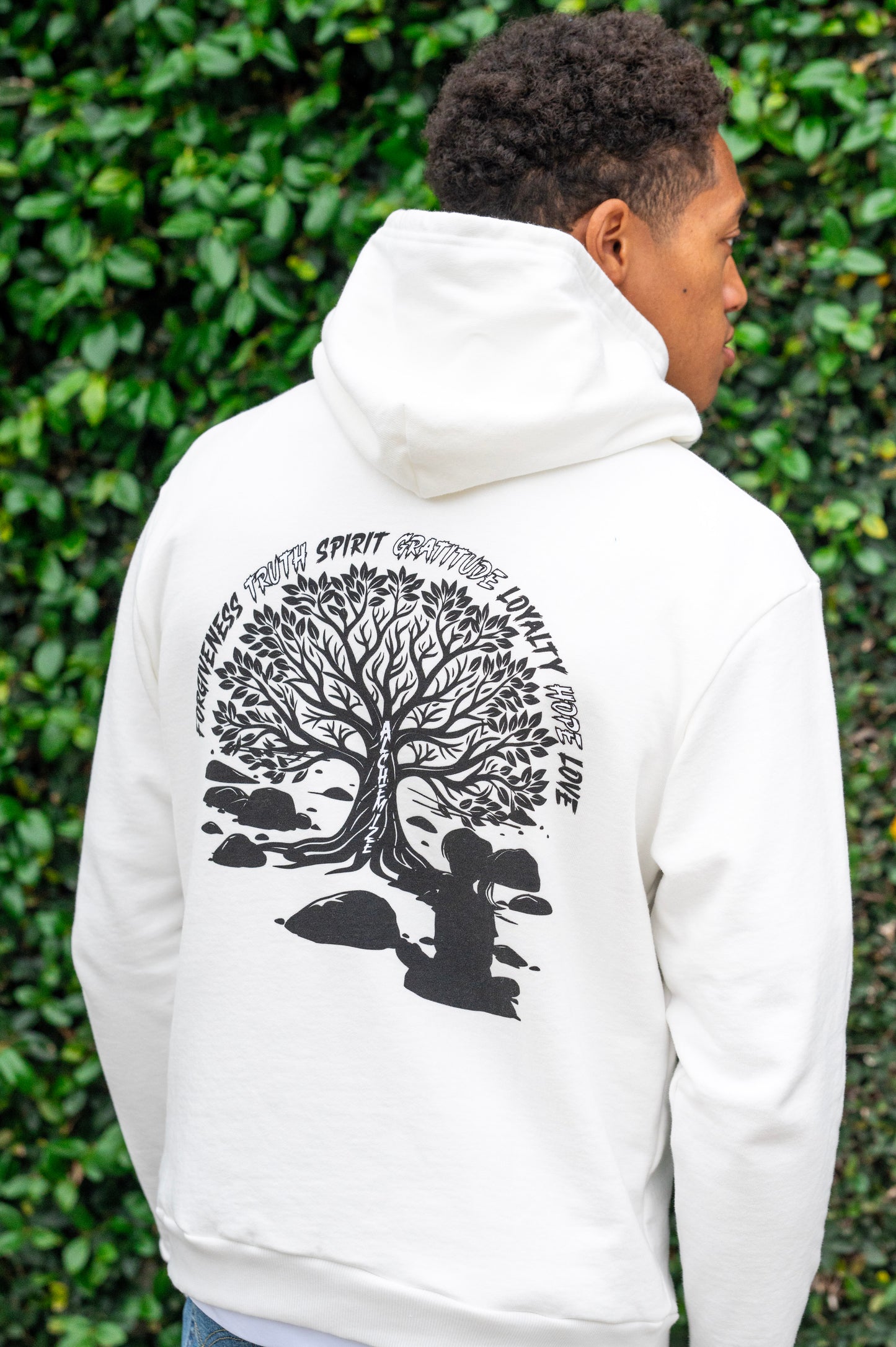 PV Hoodies