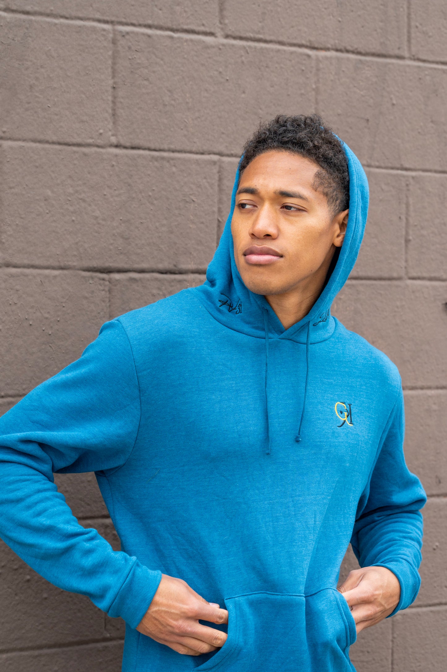 PV Hoodies