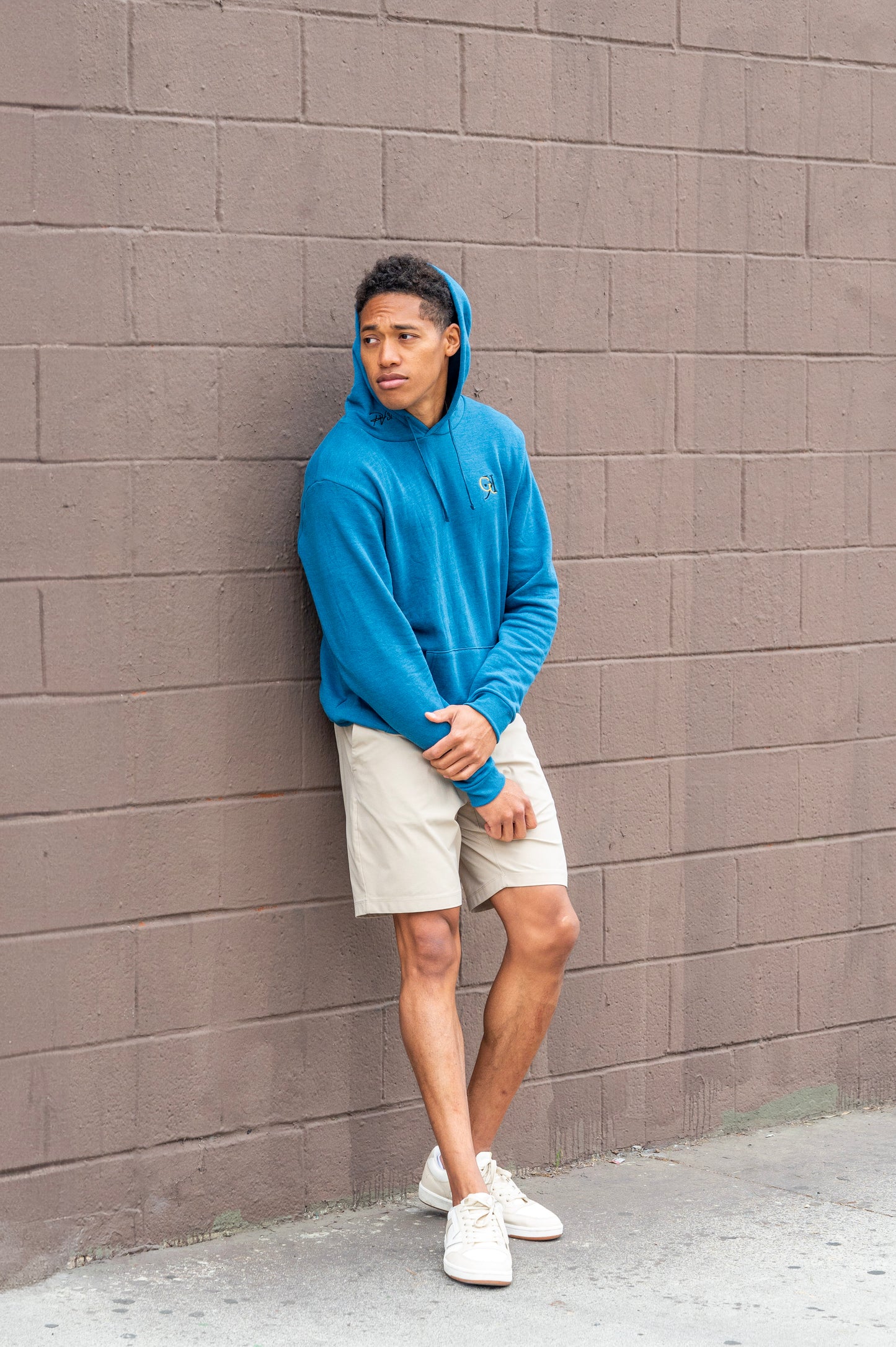 PV Hoodies