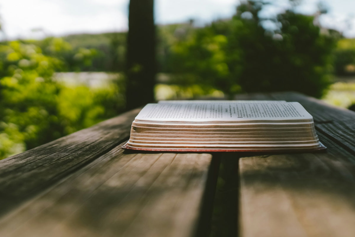 An open book on an outdoor wood table with green trees behind